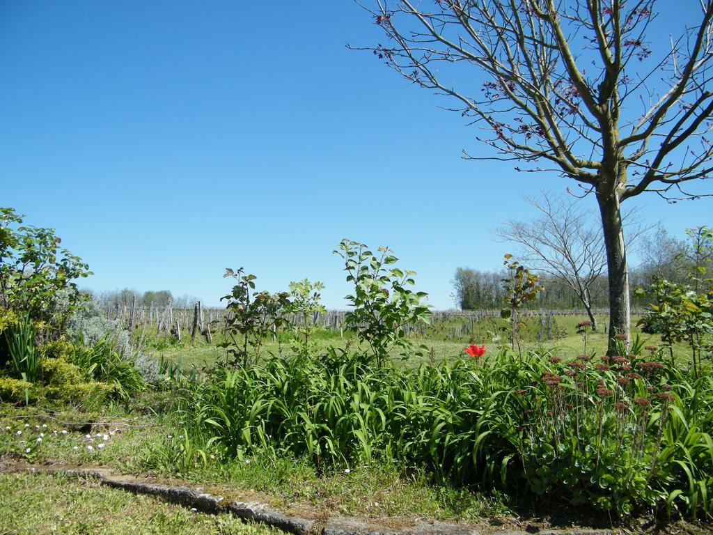 Clos Vieux Rochers Vineyard Puisseguin Exterior foto