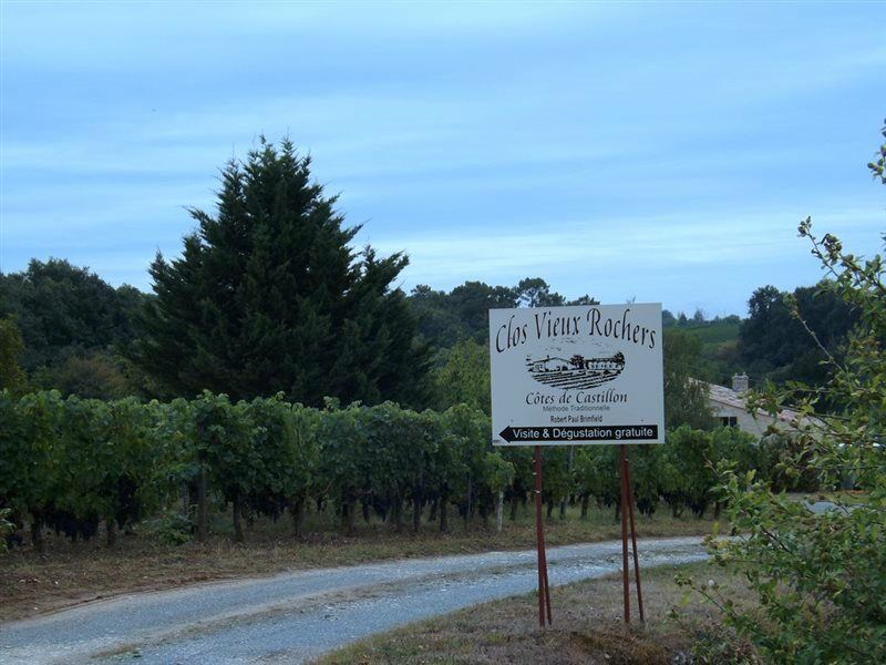 Clos Vieux Rochers Vineyard Puisseguin Exterior foto