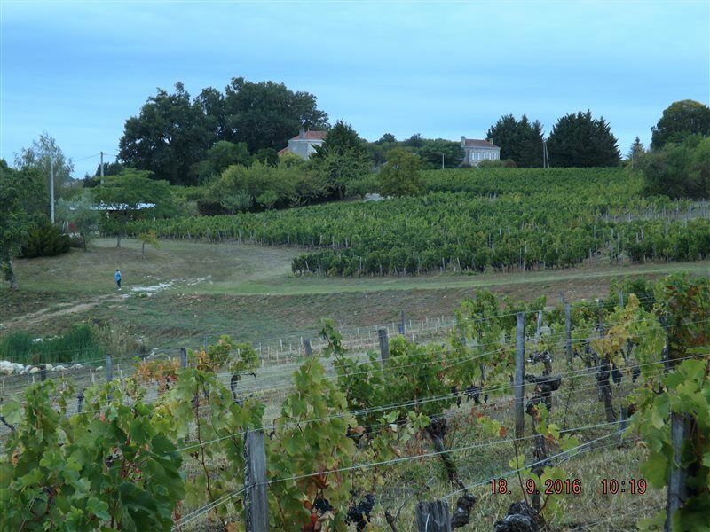 Clos Vieux Rochers Vineyard Puisseguin Exterior foto